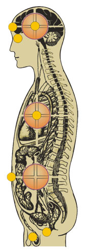 Dantien - Energiereservoir