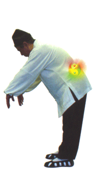 Buch - Der Himmelsdrache - Innere Übungen des Tai-Ji